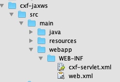 部署 JAXWS 应用程序之前