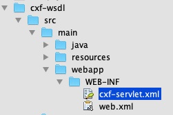 部署 WSDL 应用程序之前