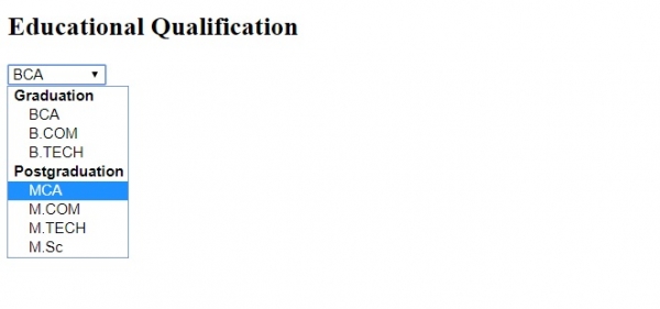 HTML optgroup 标签 | w3schools 中文网