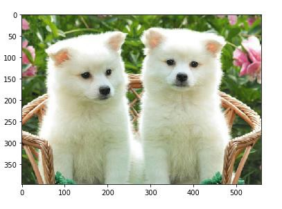 image processing tutorial using scikit-image — basic... 如何使用 scikit-learn 库在 Python 中获取图像的分辨率? | w3schools 中文网