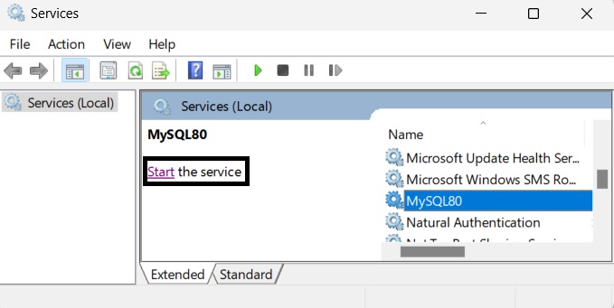 启动 MySQL