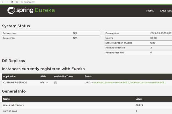Eureka Server 1 上的仪表板