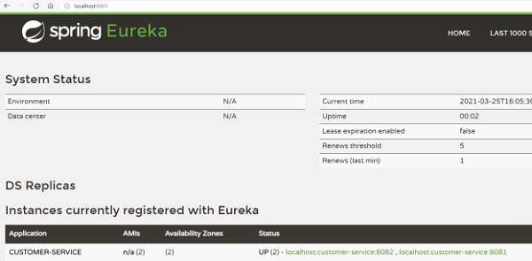 Eureka 服务器