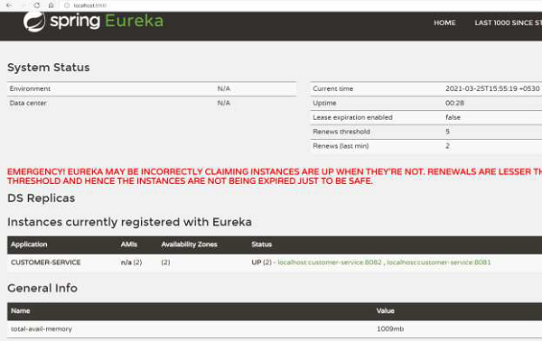 为实例设置 Eureka 客户端