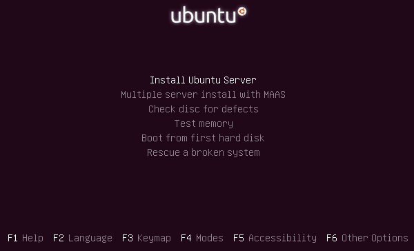 选择安装 Ubuntu 的选项